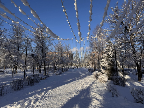 От жителей Сызрани потребуется важный выбор: отсчет начнется 2 февраля