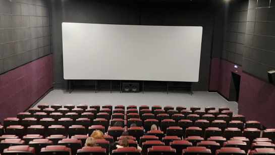 В конце концов, а зачем жителям Сызрани кино? Глаза только портить