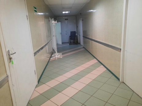 Неизбежная угроза: весной по России ударят свиной и гонконгский грипп