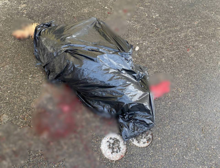 В Самарской области живодер убил собаку и выбросил окровавленный труп из окна