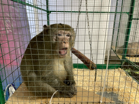 Теперь ясно, почему людей так тянет спиртному