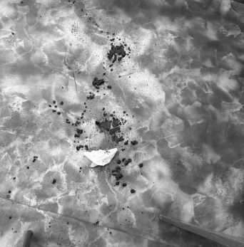 Шестеро детей остались без матери: бывший муж зарезал медсестру прямо в поликлинике