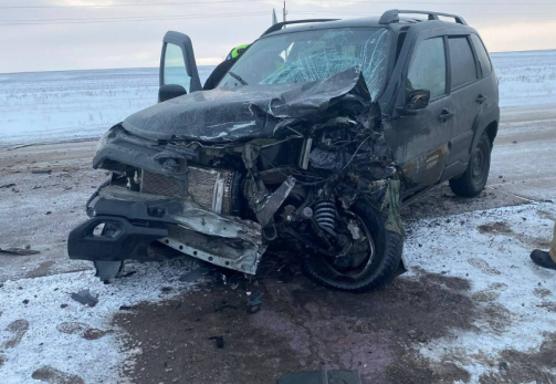 Молодых людей из разбитой Нивы увезли на скорой: подробности аварии