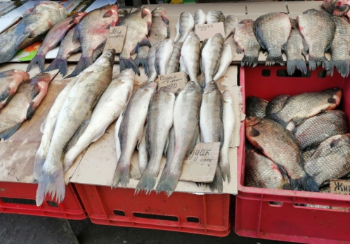 Срочно меняем меню: назван продукт, который спасает от рака