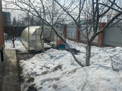 В природе уже просыпается всякая нечисть: три важных шага для спасения сада этой весной