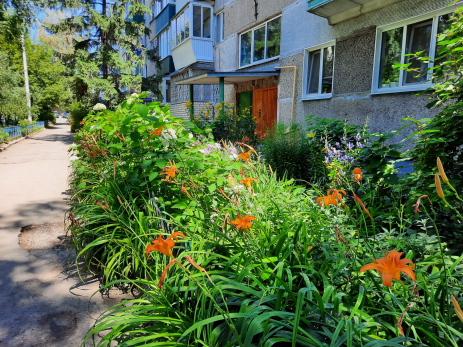 Огород под окном: жильцам квартир придется заплатить от 5 тысяч за грядки у многоэтажек