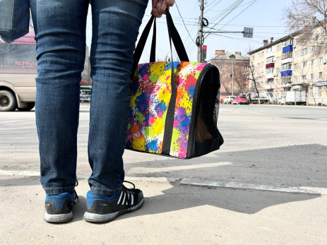 Мужчин заставят приносить справку от жен, чтобы не уволили с работы