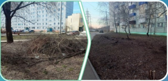 Обращение жителя направили в мэрию и приложили фото «до» и «после»