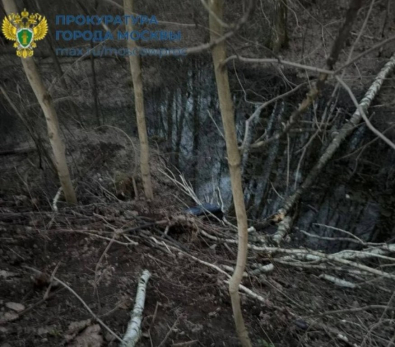 Жуткая находка: мужчину порезали и сложили в чемодан