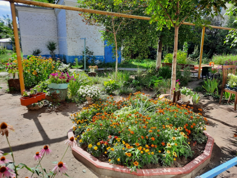 Жильцам квартир озвучили размеры штрафов за цветы под окнами