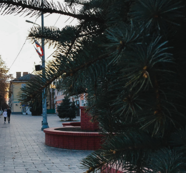 Дождь пришел не навсегда: когда в Самарской области будет сухо и тепло