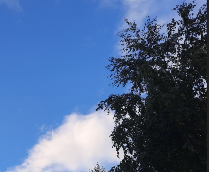 В Самарскую область заглянет лето: синоптики назвали дату