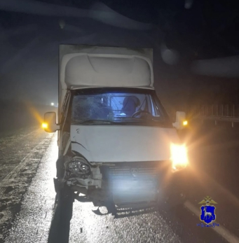 Пенсионер погиб во время ночной прогулки по федеральной трассе М-5