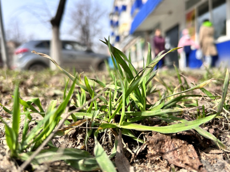 Народные приметы на 29 апреля: какая покупка сулит беду и на что посмотреть, чтобы сбылась самая заветная мечта