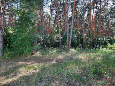 В Самарской области заражений пока нет, но число жертв растет