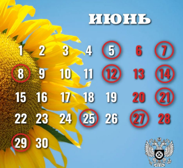 Впереди большие выходные: Роструд рассказал, как будем отдыхать в июне 2026 года и какие праздники отмечать