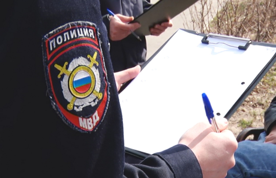 В Сызрани скрутили гулявшего по Пушкина гостя города