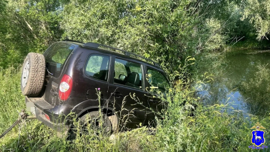 В Самарской области внедорожник пригвоздил своего хозяина к дереву