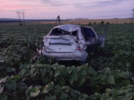 Смерть среди подсолнухов: в сызранскую больницу доставили раненых в аварии в поле