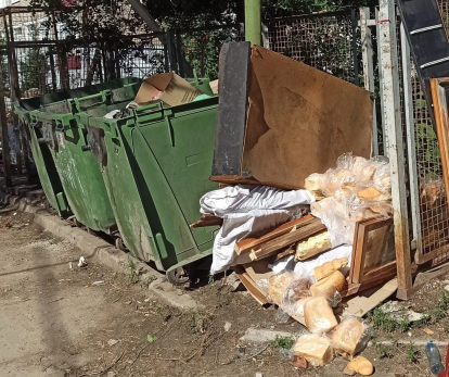 Жителей Самарской области шокировала набитая хлебом помойка