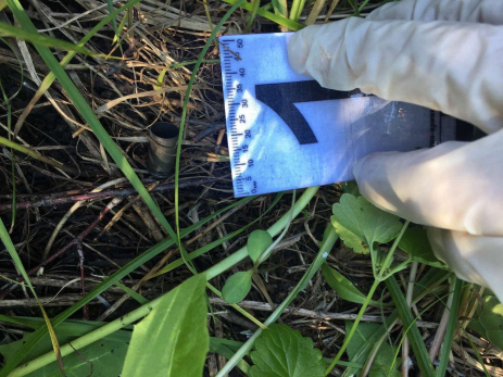В Самарской области убили гулявшего по скверу прохожего