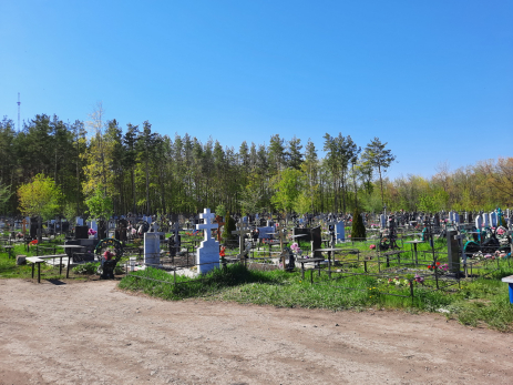 Одно из кладбищ Сызрани обработают специальными веществами