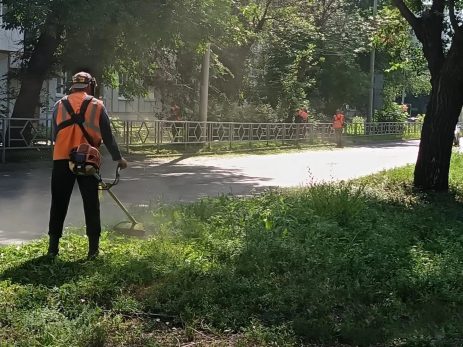 Траву пустили под нож на 12 улицах Сызрани: в ЖКХ пообещали продолжение