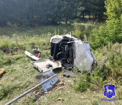 Под Сызранью машина снесла дорожный знак и рухнула на крышу