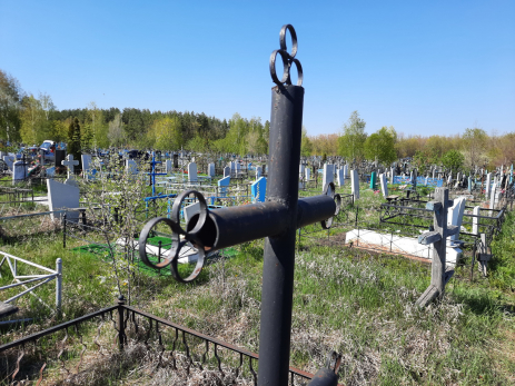 Змея убила пенсионера на кладбище: первая за лето смерть от укуса гадюки