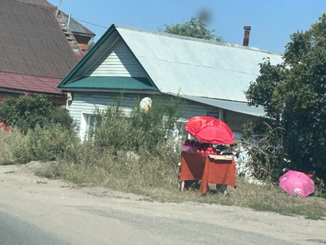 Сызрань охватила томатная лихорадка: в Засызране расцвела уличная торговля помидорами - почем они в этом году