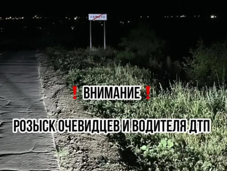 В Сызранском районе водитель сбил человека и уехал