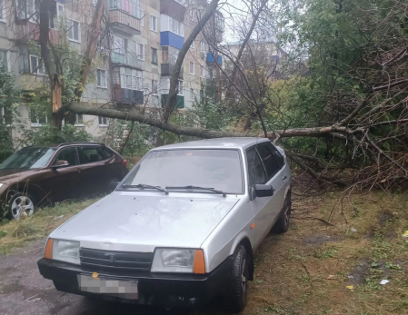 Упавшее в Сызрани дерево повредило легковые автомобили