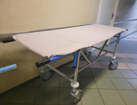 Из больниц Сызрани изгонят мышей и тараканов