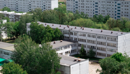 Прожорливые переселенцы с юга превращают продукты в труху. Как спасти запасы на кухнях