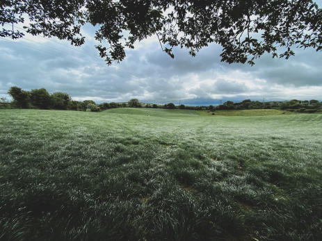 Народные приметы на 24 августа: мертвые души, белый конь и запрет на алкоголь