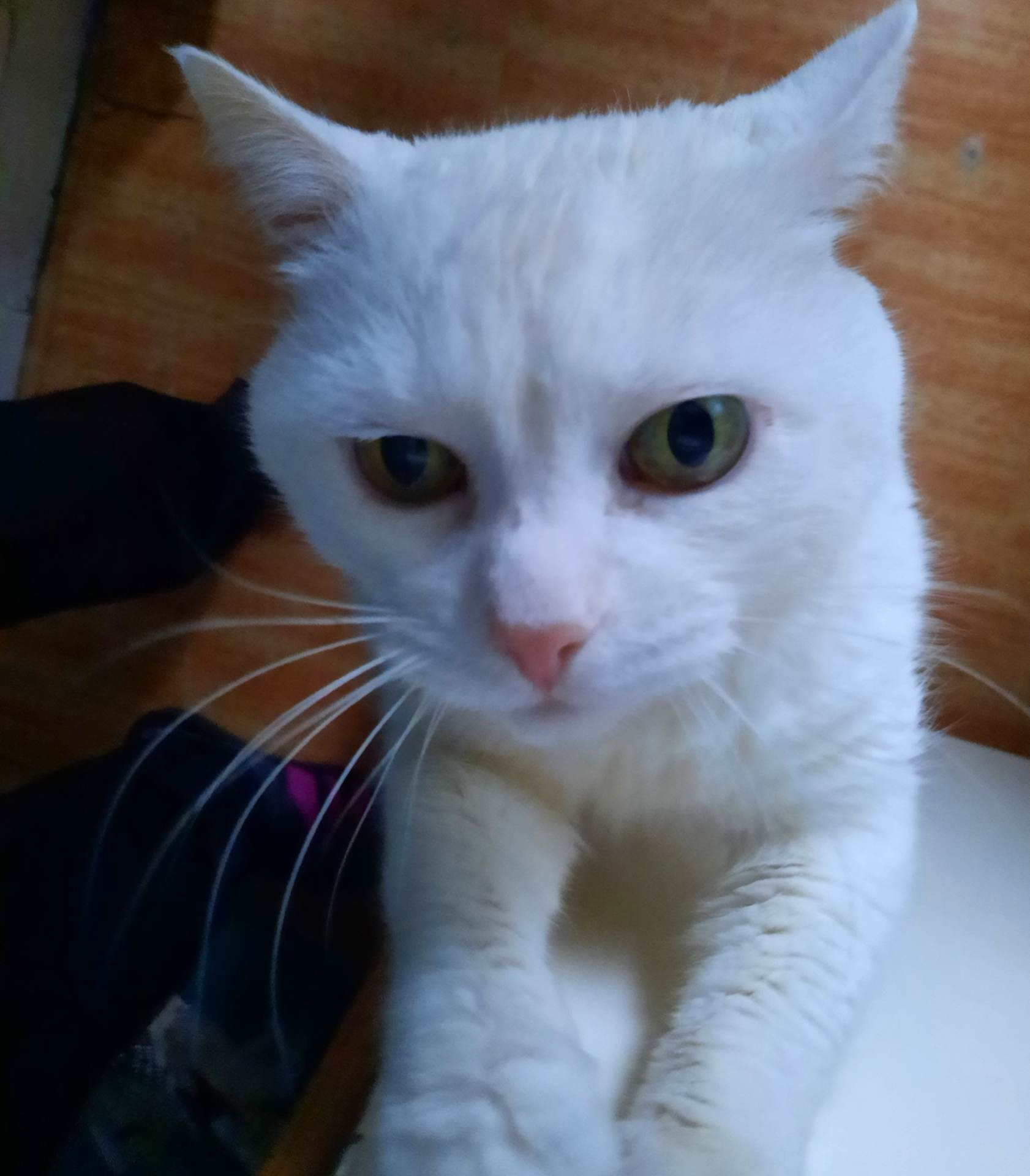 О мерах, которые принимаются в рамках карантина