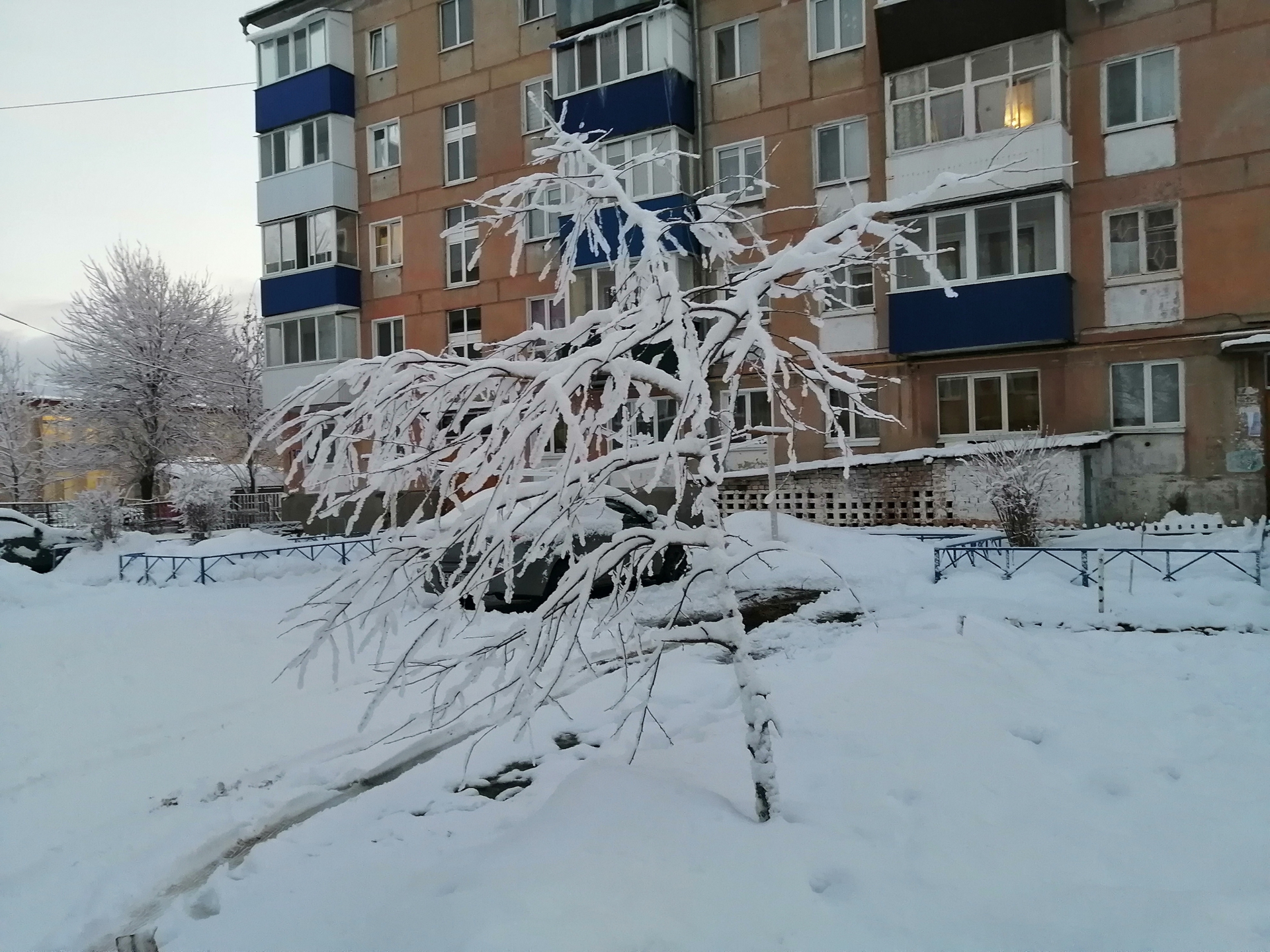 Приметы на 17 декабря: кого можно пускать в дом и что нельзя говорить в  Варварин день, чтобы не накликать несчастье / Новости / КТВ-ЛУЧ