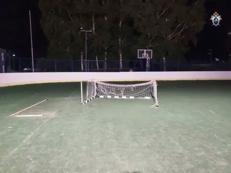 Родителям убитого футбольными воротами мальчика выплатят миллион рублей