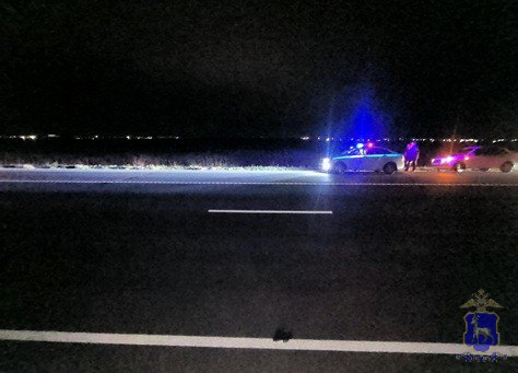 Под Сызранью мужчина погиб при попытке перейти федеральную трассу