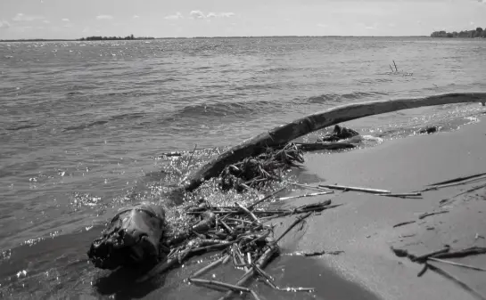 Отец засунул дочь с ДЦП в мешок и утопил в реке, устав от ее болезни