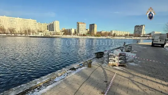 Убийцей мальчика, чью голову нашли в рюкзаке, оказалась его мама