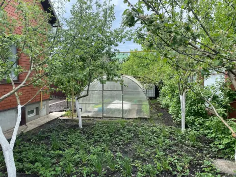 Природа намерена подбросить нам наихудший сценарий - растения перепутали зиму с весной и готовы расцвести