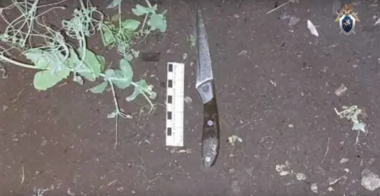 Вынесен приговор о кровавой резне под Сызранью в пятницу 13-го