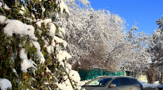 Днем - солнышко, по ночам - холод: погода берет паузу в Самарской области