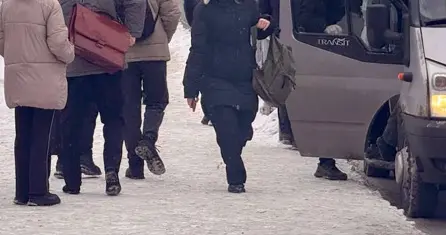 Теперь pet friendly: «Додо Пицца» открывает двери для собак и котов после скандала с Додобоней