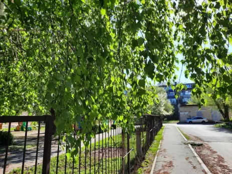 Общее число пострадавших в Самарской области превысило отметку в три тысячи