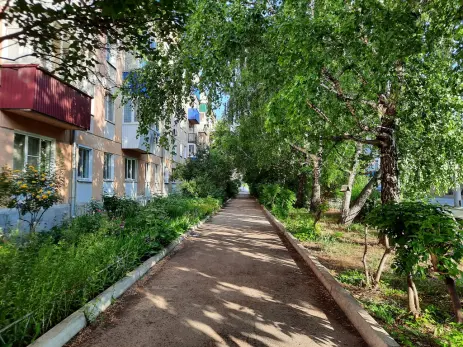 Зараженные энцефалитом и боррелиозом клещи покусали жителей Самарской области
