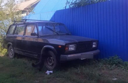 В Сызрани обычный черный кот поел по-человечески и взялся за ремонт машины