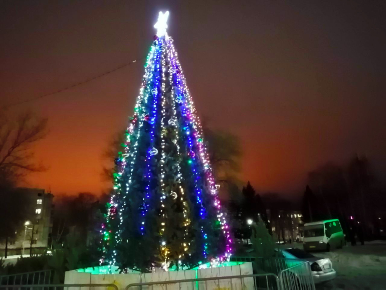 «М.Видео-Эльдорадо» бесплатно заберет новогодние елки на переработку